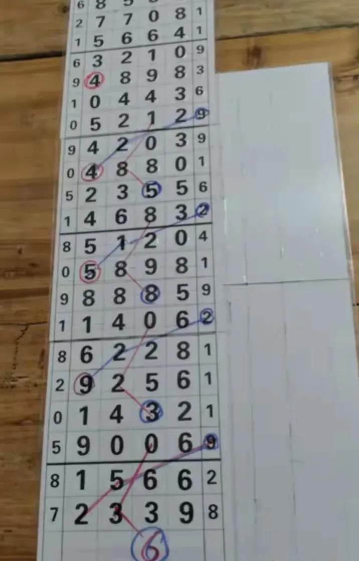 排列五走势图体彩，解锁数字彩票的奥秘